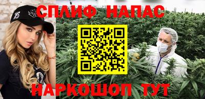 молекула духа Будённовск