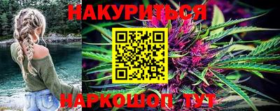 молекула духа Будённовск