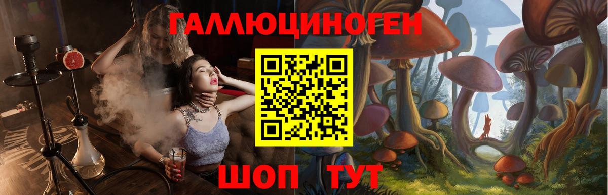 Саянск  Псилоцибиновые грибы Psilocybine cubensis  дарнет шоп  Вход с VPN 